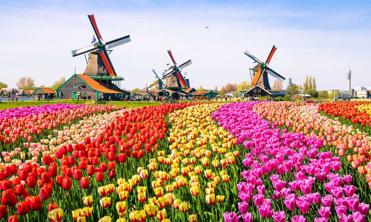 Hotel Noordzee Niederlande