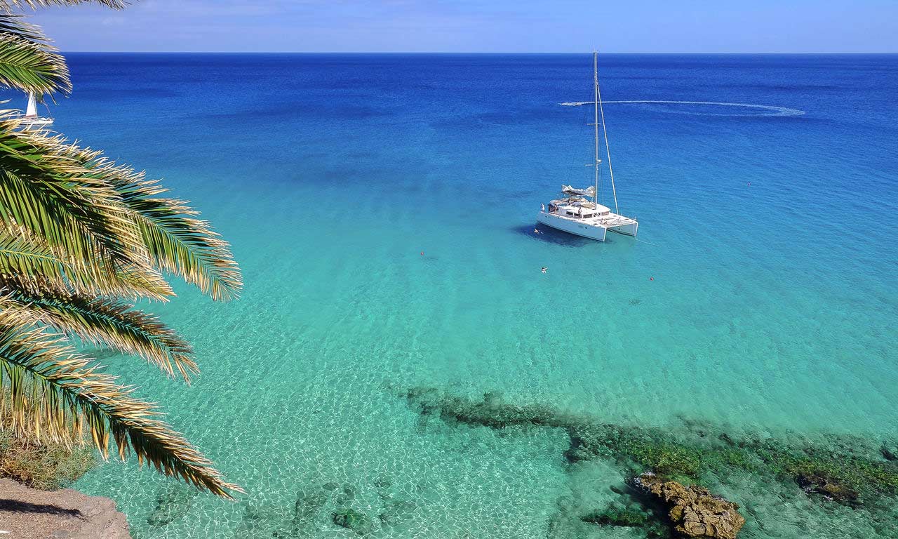 01239 fuerteventura spanien urlaub atlantik kanaren insel sommer strandurlaub playa de morro jable erholung palmen