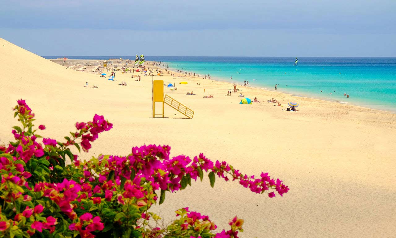01241 fuerteventura urlaub spanien atlantik kanaren insel sommer playa de matorral moro jable strandurlaub erholung palmen