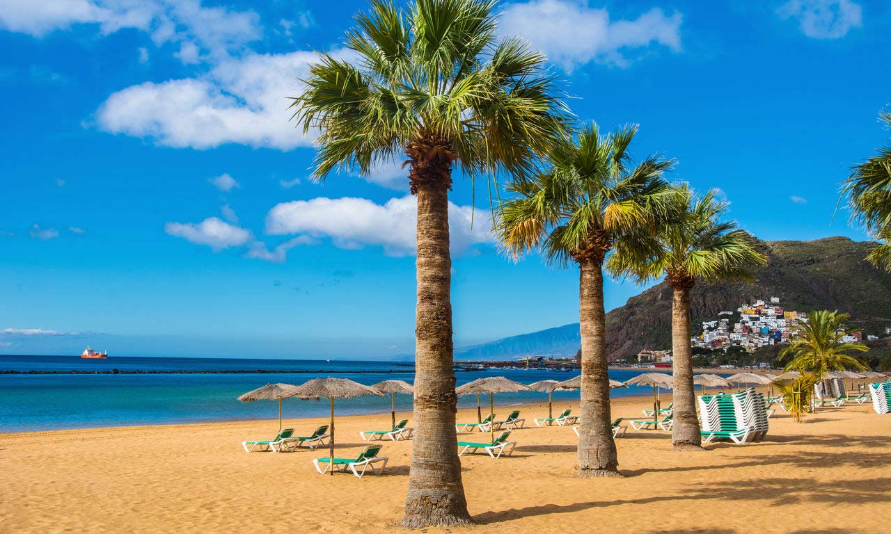 01309 teneriffa spanien urlaub atlantik kanaren insel sommer strandurlaub erholung palmen