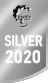 silver award