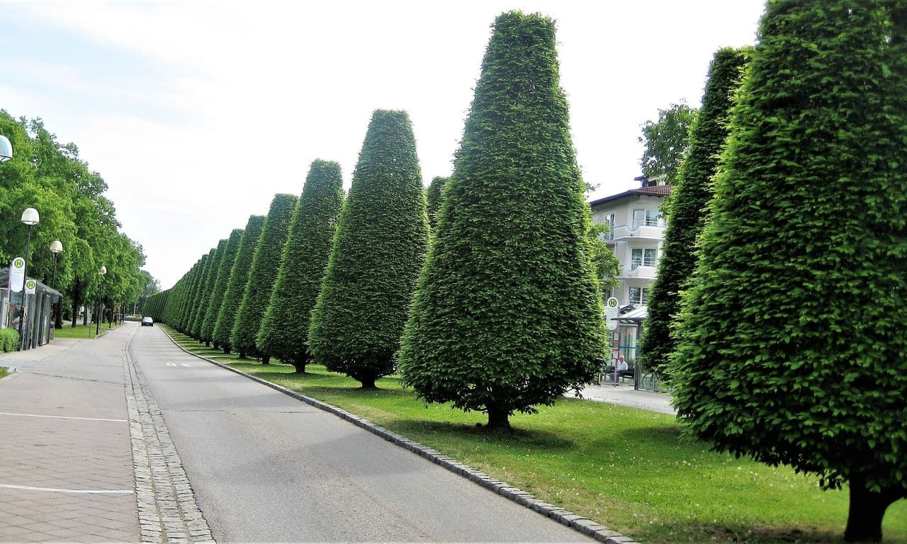 Kurpension Mayerhof Deutschland