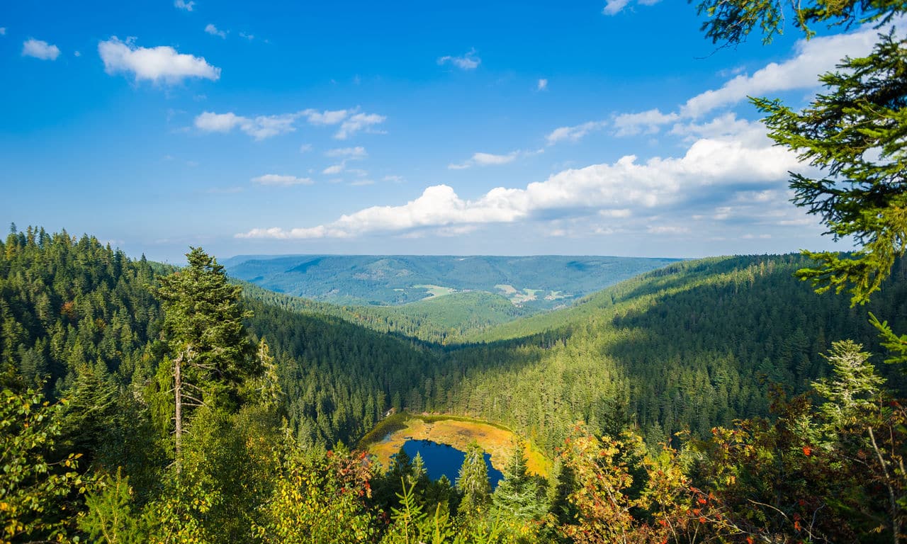 Parkhotel Ailwaldhof Deutschland