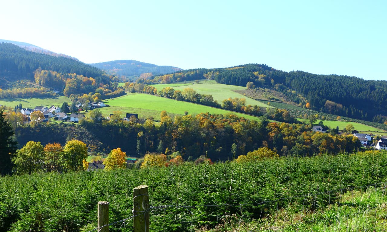 Hotel Schäferhof Deutschland