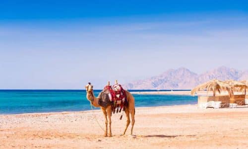 Pauschalreisen Ägypten