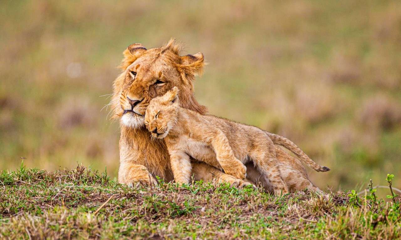 Kalahari Anib Lodge