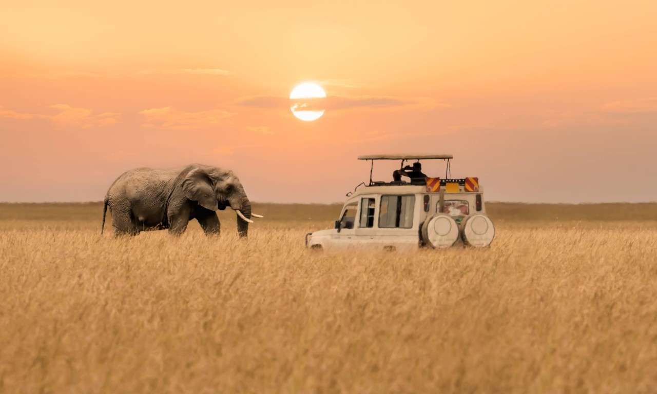 Afrika