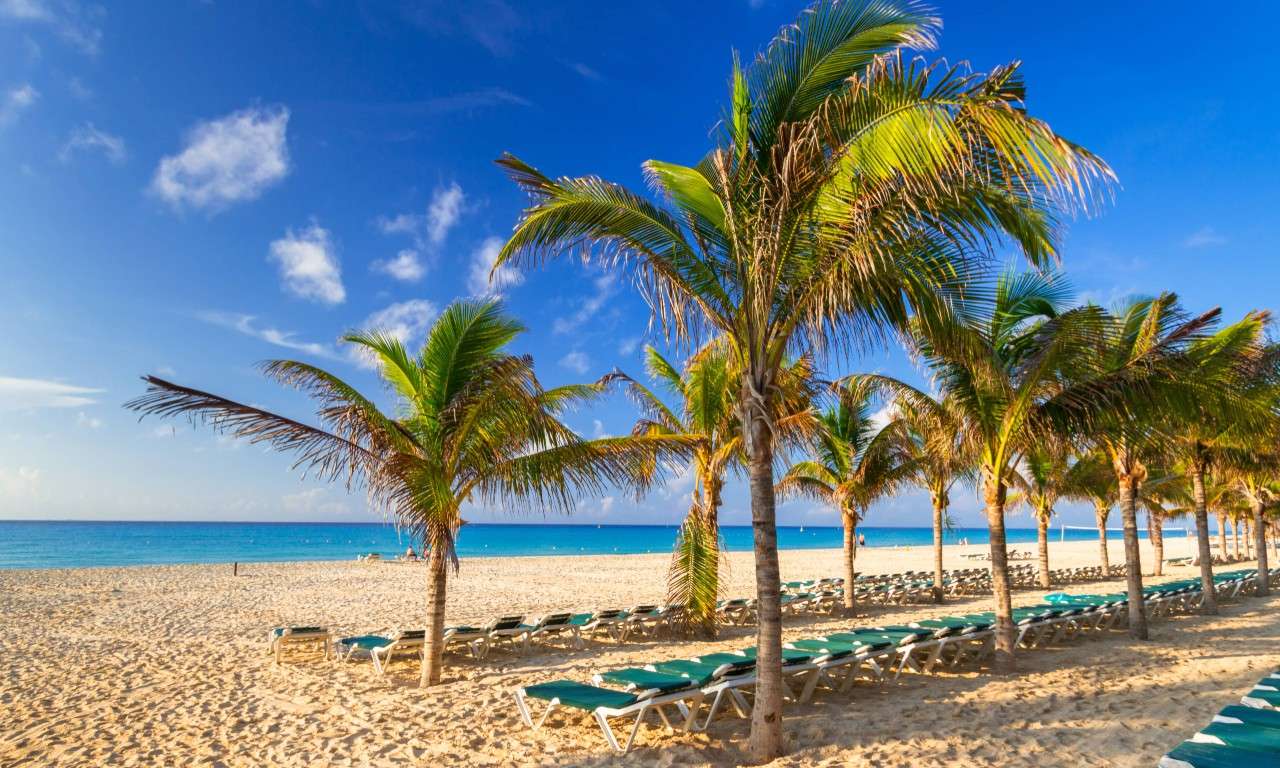 The Reef Coco Beach