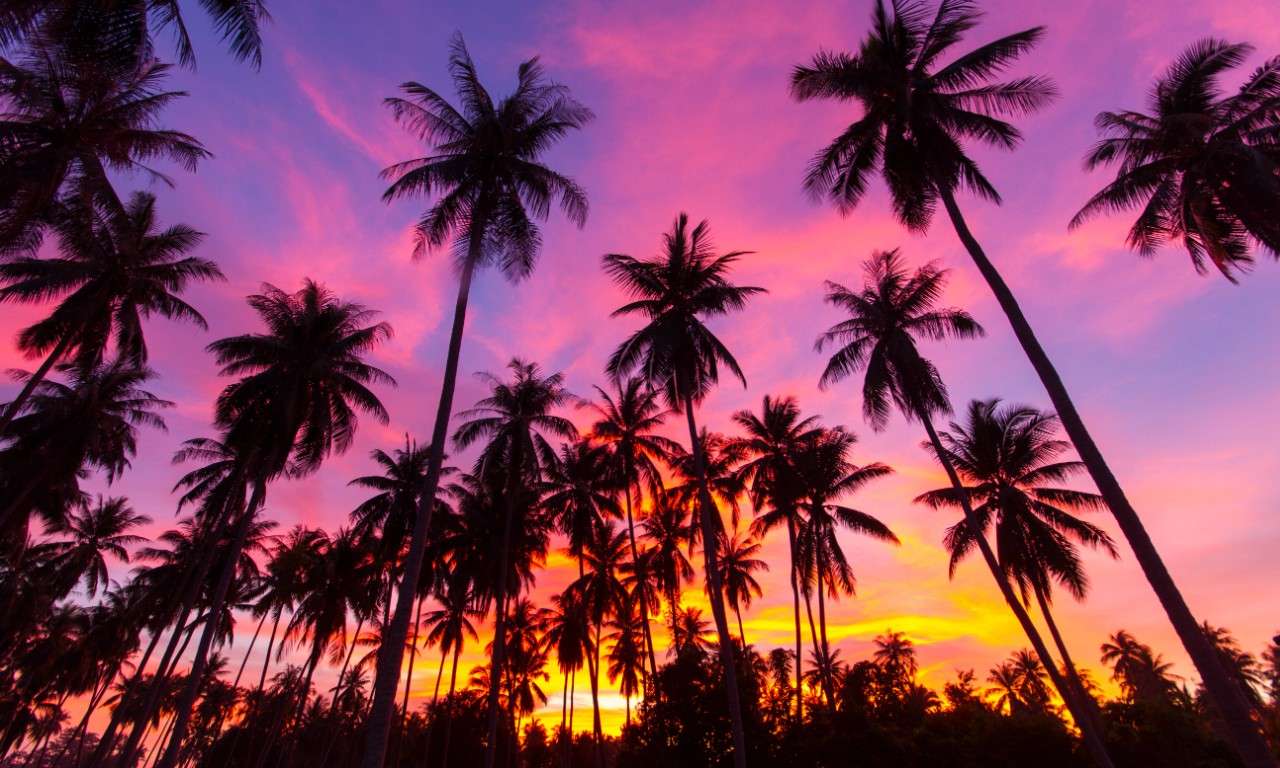 The Sunset Beach Resort & Spa