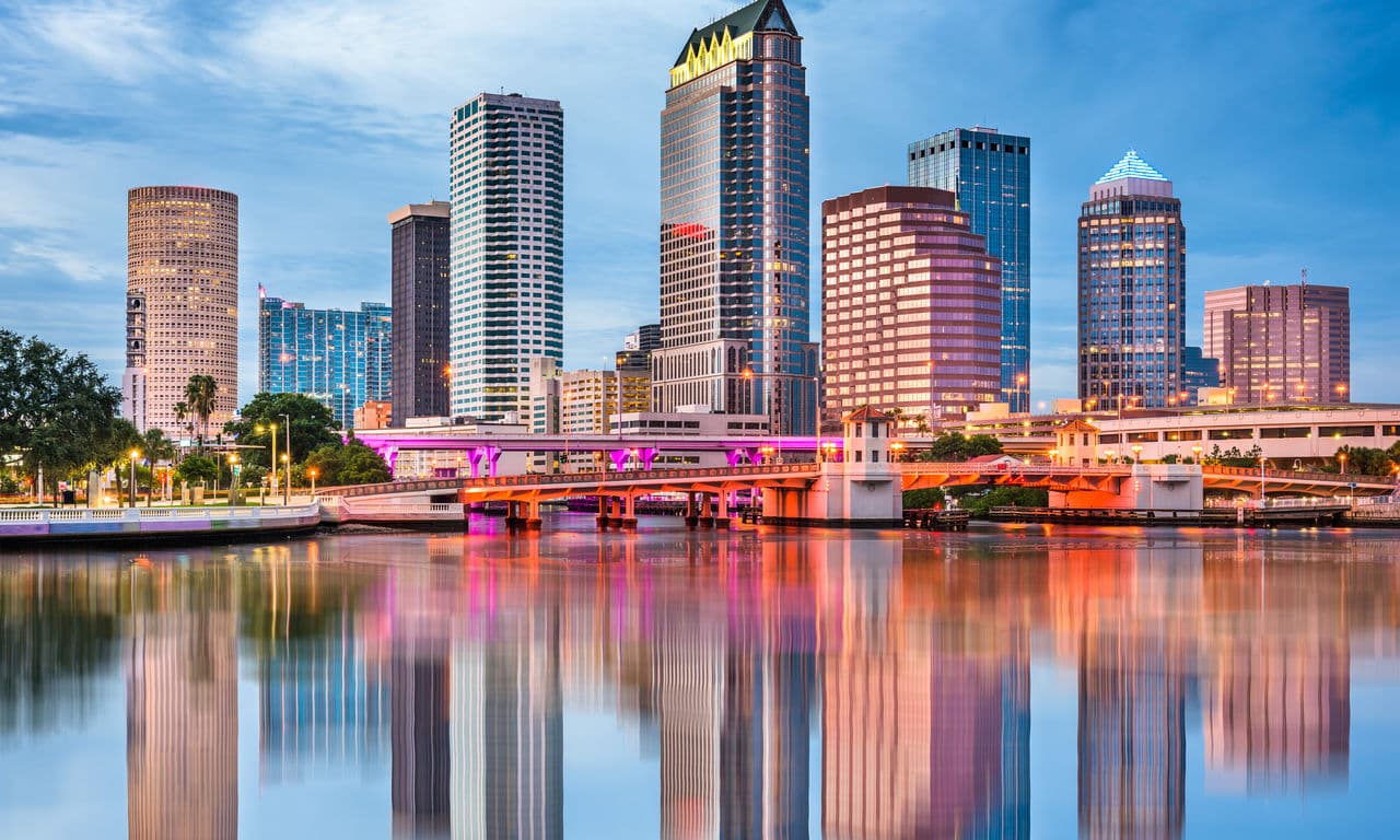 Holiday Inn Express Hotel & Suites Tampa USF Busch Gardens USA
