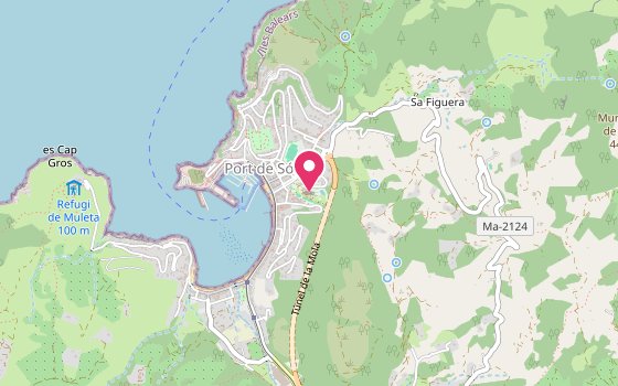 Kartenausschnitt: Lage von Hotel Es Port